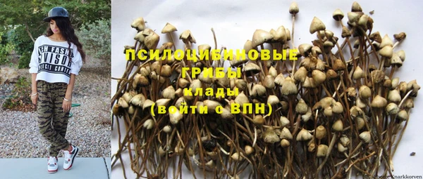 сатива Белокуриха