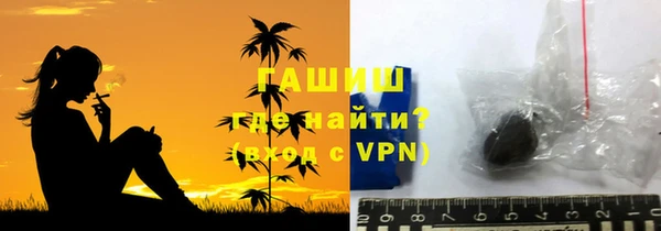 сатива Белокуриха