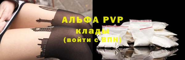 сатива Белокуриха