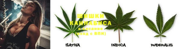 дживик Беломорск