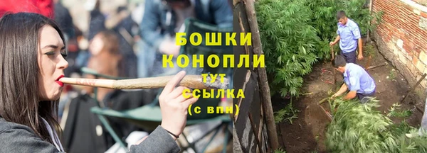 сатива Белокуриха