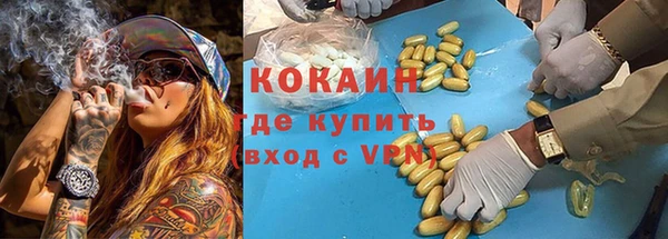 сатива Белокуриха