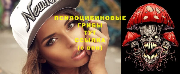 сатива Белокуриха