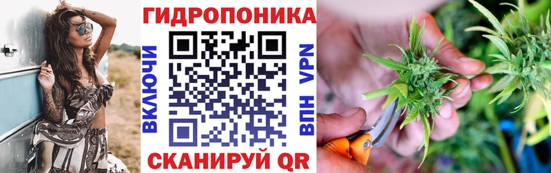 Шишки марихуана OG Kush Острогожск